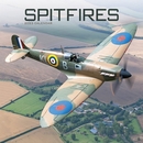 Spitfire 2023 Wall Calendar