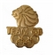 Officially Licensed Team GB Lions Head Pin